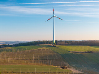 Fly Over the early Spring hops fields after sunrise phase 