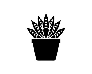 creative details potted succulent icon vector Illustration