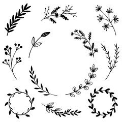 floral background with flowers
