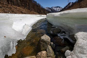 melted ice on a clear mountain river in spring