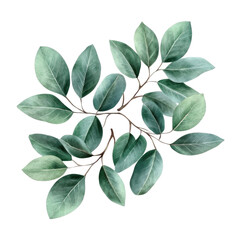 Fototapeta premium green leaves 