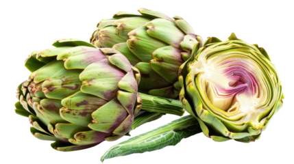 Artichoke (also known by the names French artichoke, green artichoke, and globe artichoke) isolated on transparent background.