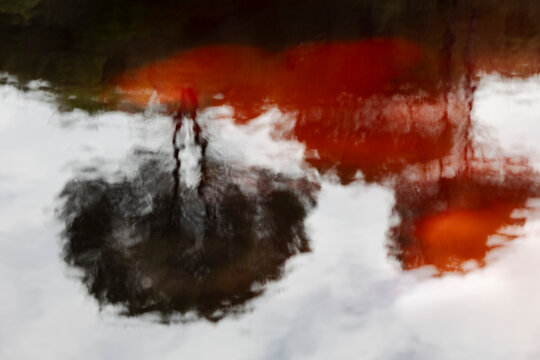 Reflejos en las aguas del R&iacute;o Tinto en Huelva de arboles en rojo y negro en el agua serena del ripio