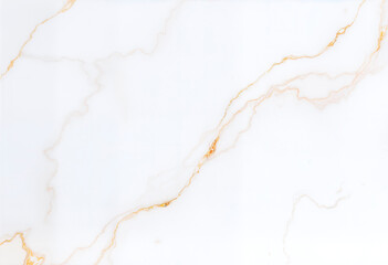 Obraz premium White marble with gold