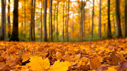 Serene autumn forest pathway with vibrant orange and yellow foliage covering the ground