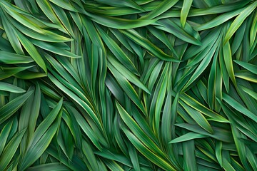 Fototapeta premium Lush Tropical Palm Leaves Background: Perfect for Spring, Summer, Easter, or Palm Sunday designs. Vibrant green foliage creates a serene, natural 