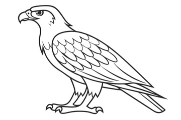 Caracara Vector Illustration. Unique and Detailed Bird Artwork