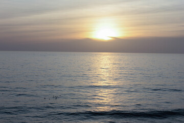 Golden sunset illuminating calm ocean with birds floating on water surface