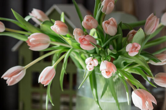 A bouquet of delicate pink tulips in a beautiful stylish vase on the table. The concept is timed to coincide with the onset of spring and International Women's Day on March 8.