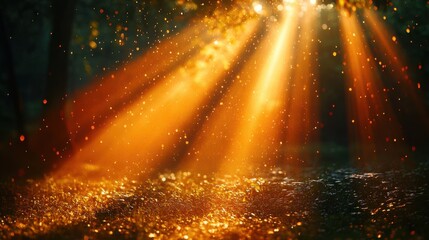 sun with rays breaking through branches in the forest. Bright natural landscape