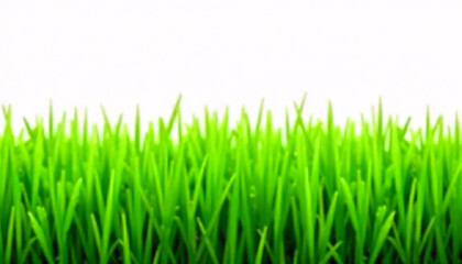 Fototapeta premium A close-up of lush, vibrant green grass blades against a bright, sunlit background, capturing the essence of nature.