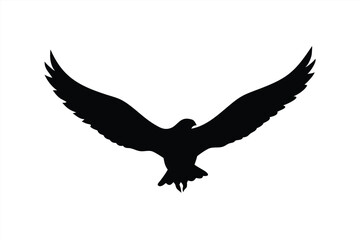 Obraz premium Stylized hawk soaring in the sky with outstretched wings