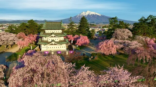Sakura tree with Japanese samurai castle in Hirosaki in spring, aerial view of cherry blossom in Japan, Japanese springtime tourism