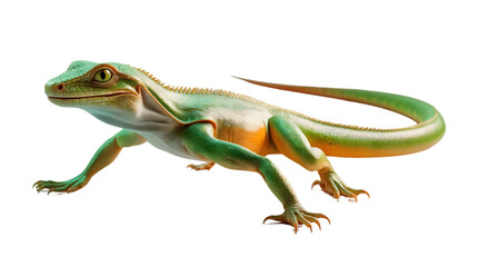 Fototapeta premium Green Lizard Reptile Isolated on Black Background