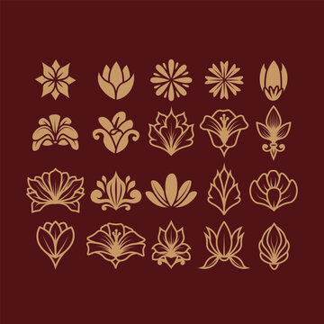 Set of Ornament Floral Illustration