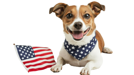 Independence celebration close-up of cheerful dog in patriotic bandana in studio setting