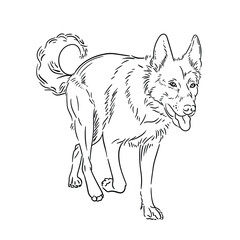 Hand drawn sketch of walking dog.