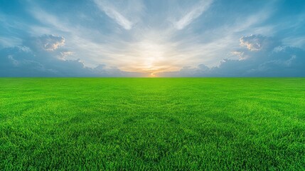 Obraz premium Serene Sunset Over Lush Green Field