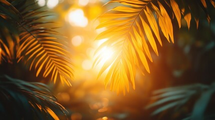Golden palm leaves sunset jungle bokeh background