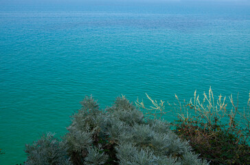 Vibrant Mediterranean plants cling to the rugged rocks, contrasting with the deep blue Adriatic Sea.