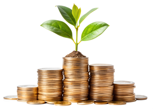 growing money tree growing from coins