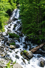 Fototapeta premium beautiful view of waterfall near Rosa Peak