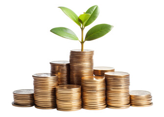 growing money tree growing from coins