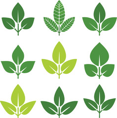 green leaves isolated on white