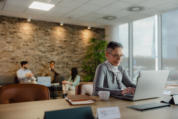 Professional Woman Working at Laptop in Modern Office Space