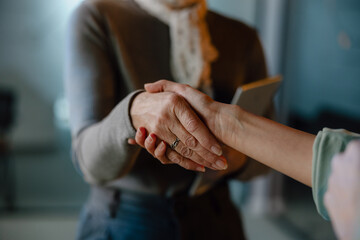 Two People Shaking Hands in a Professional Setting
