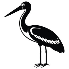 stork on a white background