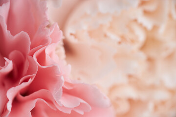 Fototapeta premium A delicate close-up of soft pink and peach carnation petals, showcasing intricate textures and gentle curves in a dreamy, romantic floral composition.