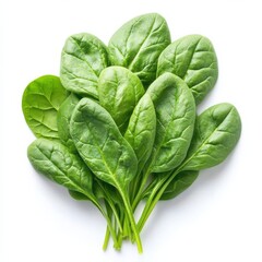 Obraz premium Fresh spinach leaves with vibrant green color and texture