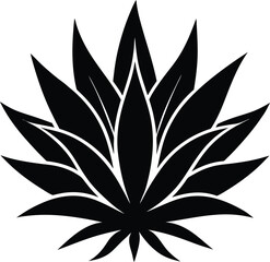 Silhouette of an agave, agave plant vector, agave symbol, Cactus vector icon  