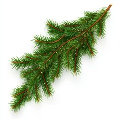 Obraz premium Christmas garland crafted from fresh pine tree branches