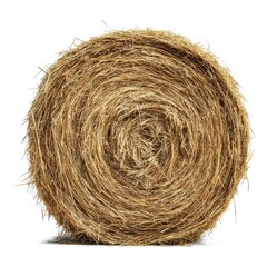 Large round hay bale on a white background