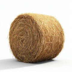 Large round hay bale isolated on a white background