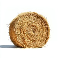 Large round hay bale on white background