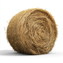 Large round hay bale isolated on white background