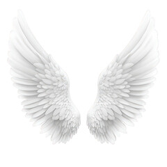 Fototapeta premium a pair of elegant stylized white wings showcasing intricate feather details against a minimalist white background evoking themes of freedom purity and ethereal beauty