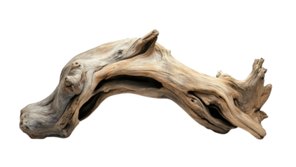 a piece of driftwood shaped like a stylized animal head showcasing natural textures and curves ideal for decorative or artistic purposes