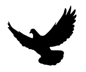 Dove flying silhouette