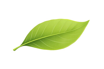 Obraz premium Realistic green leaf with detailed veins and natural texture on Transparent Background