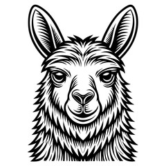 Obraz premium a monochrome llama vector illustration with expressive eyes, in a front-facing pose