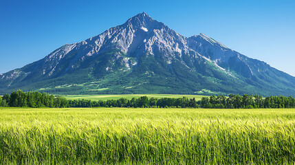 Fototapeta premium Lush green field foregrounds a majestic mountain range beneath a clear blue sky.