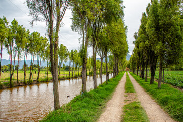 Obraz premium Green Farm Landscape with Pasture and Trees