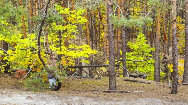 Happy child daughter mom, play together holding hands in autumn outdoor. Active family walk mother child in park. Family weekend in autumn forest.