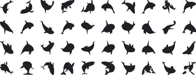 Orca clipart vector illustration, killer whale orca silhouette in various poses, black orca vector isolated on white, Perfect for marine life enthusiasts, educational materials, and ocean design