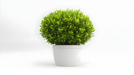 A vibrant green potted plant, showcasing lush foliage in a minimalist white pot, perfect for adding a touch of nature to any indoor space, creating a calming atmosphere.