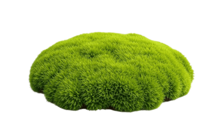 green artificial grass transparent background